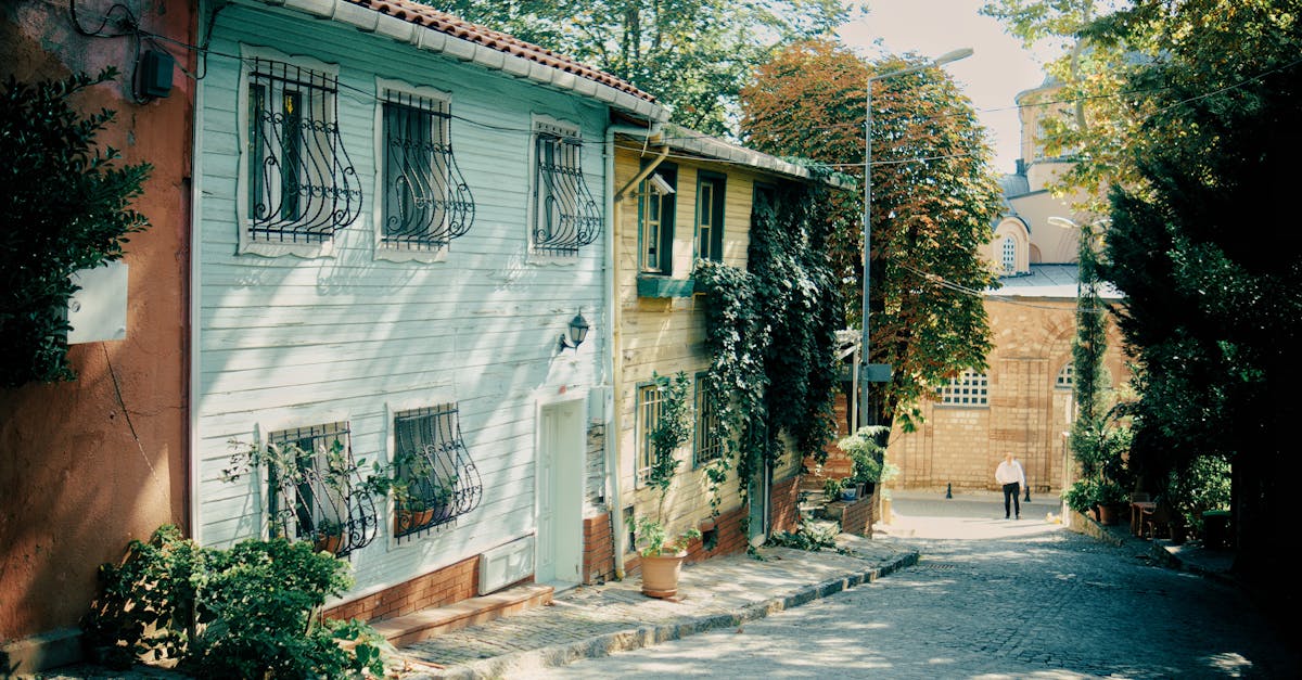 Servicii, autorități locale, IMM-uri