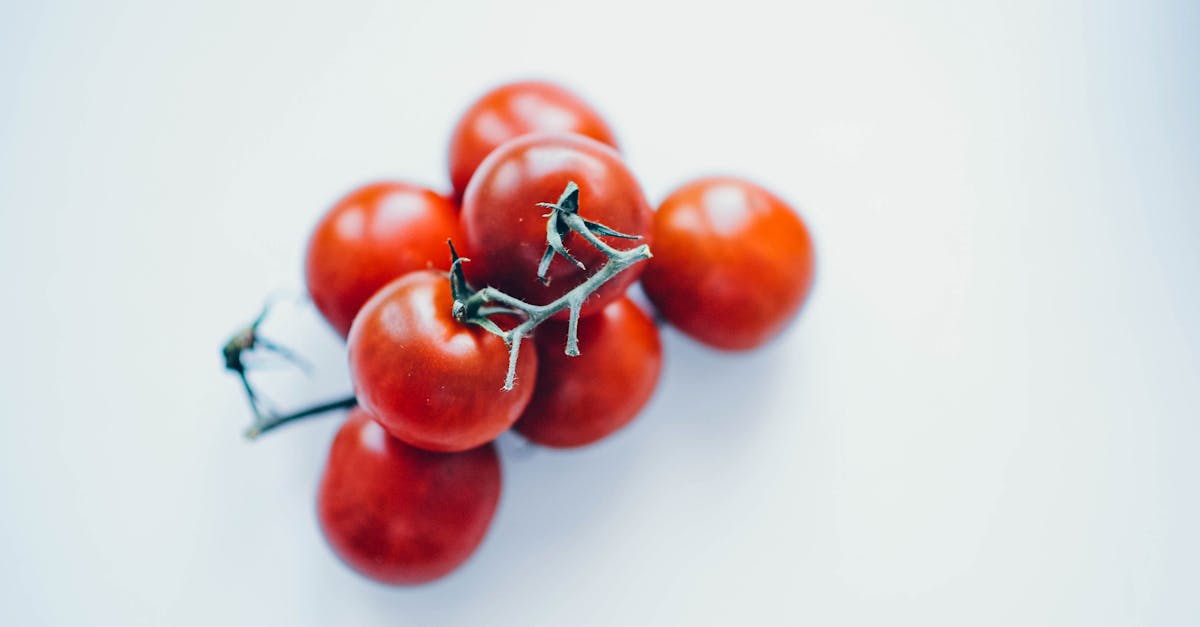 découvrez des conseils diététiques adaptés à vos besoins pour une alimentation saine et équilibrée. améliorez votre bien-être à travers des recettes savoureuses et des astuces nutritionnelles.
