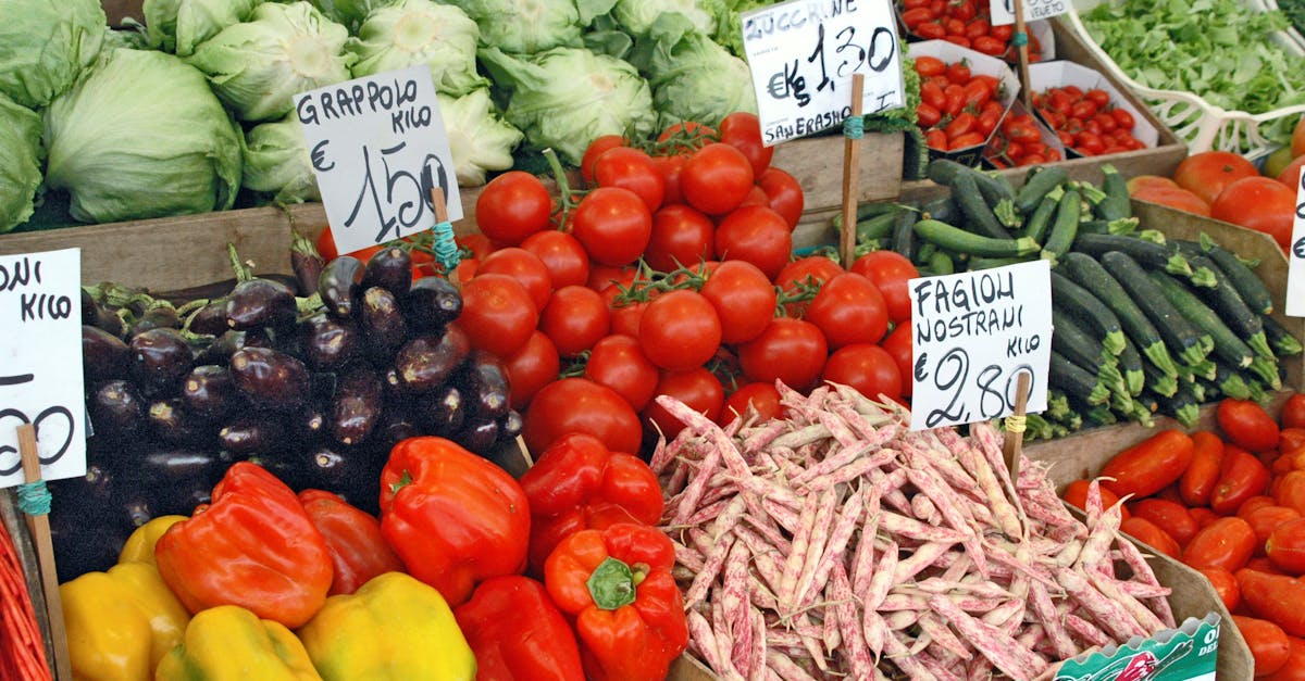 découvrez des conseils pratiques et des astuces pour une alimentation saine et équilibrée. explorez les principes de la diététique pour améliorer votre bien-être et atteindre vos objectifs nutritionnels.