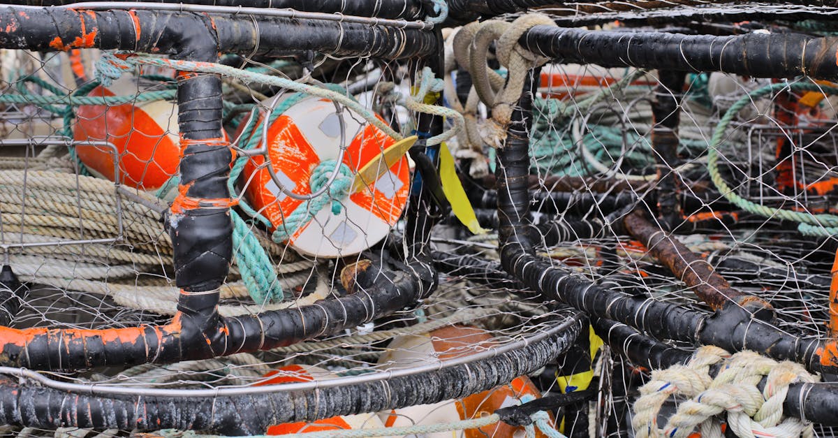 Понимание кредита ECTS: определение и важность