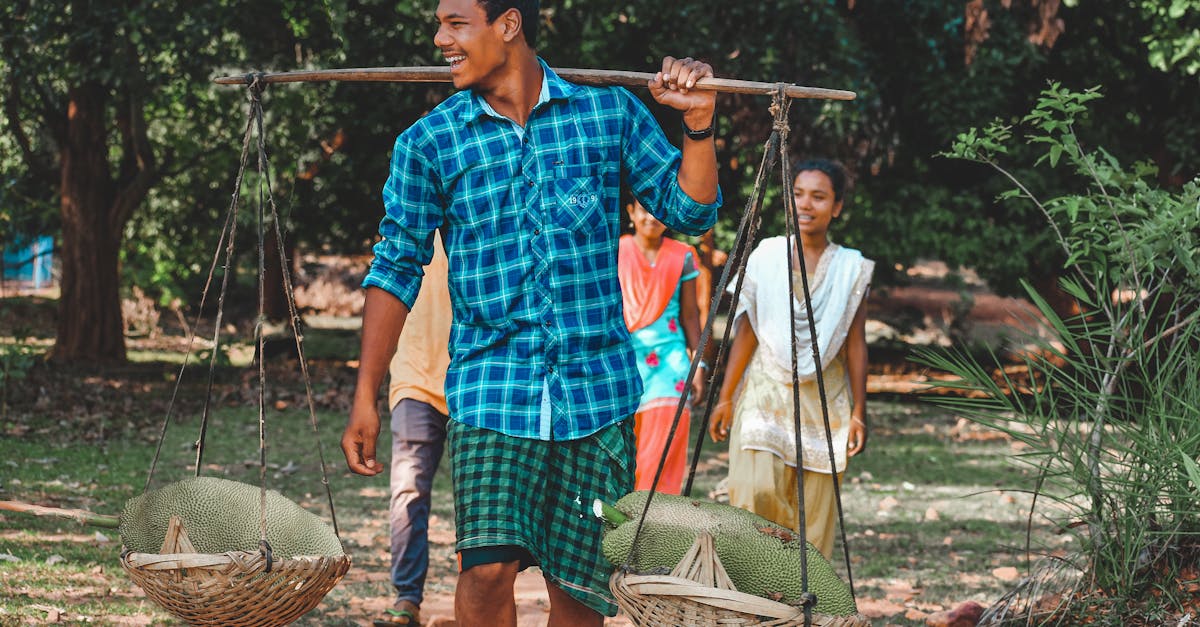 Agricultura em Números