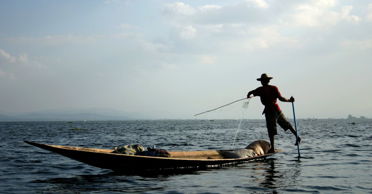 Como ler um balanço patrimonial contábil agrícola?