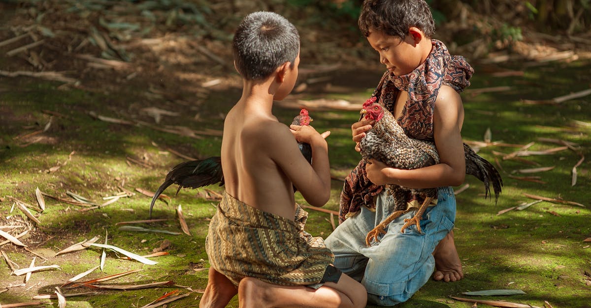 Descoperiți serviciile noastre de recrutare agricolă, specializate în căutarea de talente pentru sectorul agricol. Găsiți cei mai buni candidați pentru a satisface nevoile dumneavoastră de forță de muncă, fie că sunt fermieri, tehnicieni sau experți în agronomie. Optimizați-vă echipa și stimulați-vă producția cu expertiza noastră în recrutare.