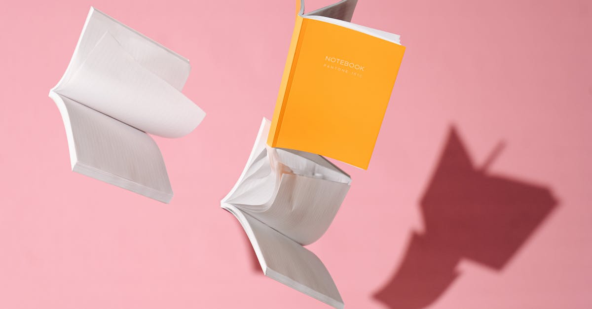 ⚠️ Kontrolle von Bankgeschäften (Überweisungen, Lastschriften) und Einhaltung von Rechnungslegungsstandards