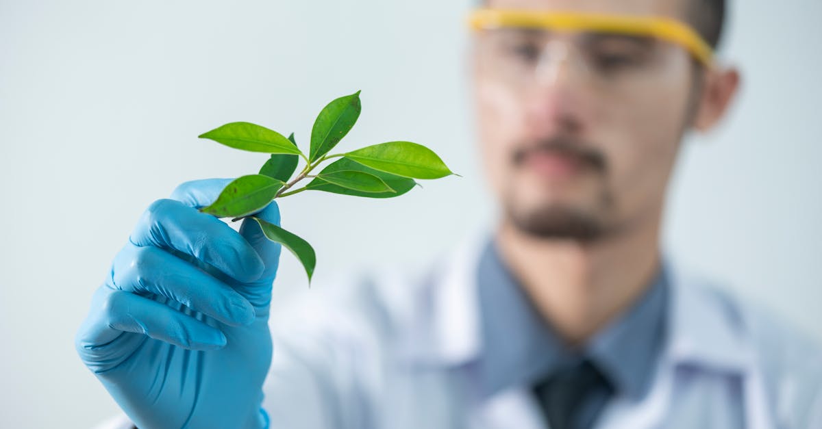 Objavte fascinujúci svet biotechnológie, revolučnej disciplíny, ktorá spája biológiu a technológiu s cieľom vyvíjať inovatívne riešenia v oblasti zdravia, poľnohospodárstva a životného prostredia. Preskúmajte najnovšie pokroky, výskum a aplikácie, ktoré menia náš každodenný život.