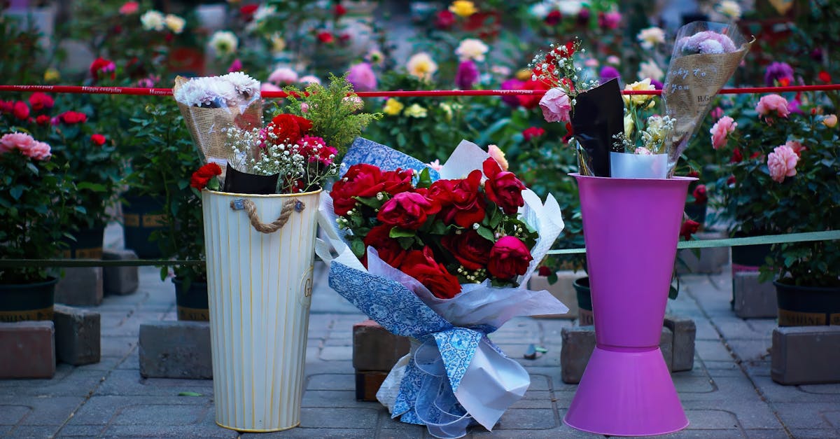 El monto de la remuneración de un estudiante de BTS en programa de trabajo y estudio