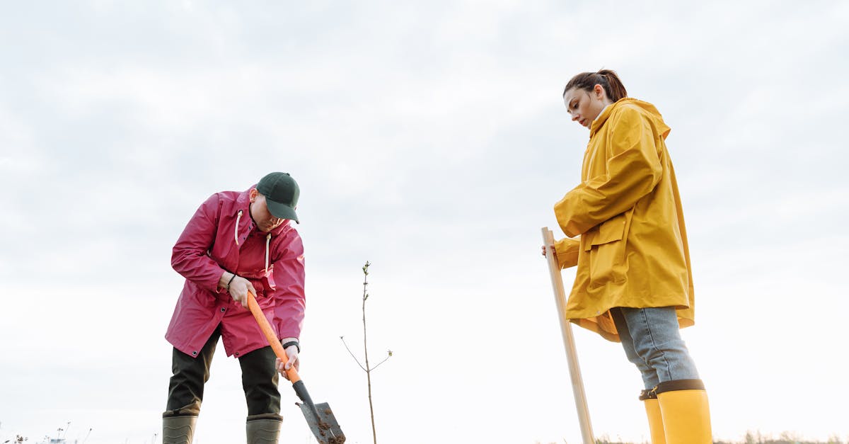 🎯 Erosione e degrado