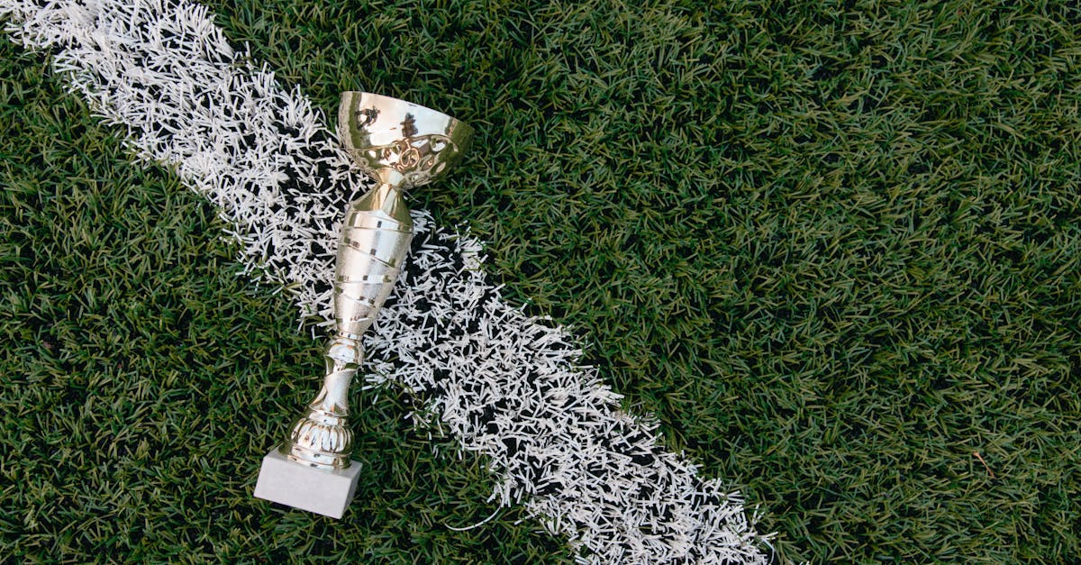 Вы, возможно, задаетесь вопросом, как присоединиться к этому захватывающему приключению? Первый шаг — узнать больше о процессе регистрации. Большинство сельскохозяйственных палат предлагают онлайн-платформы, позволяющие подать заявку всего за несколько кликов. Однако будьте внимательны и подготовьте убедительную заявку, которая подчеркнет вашу креативность и преданность своему проекту. В идеале вам следует подробно описать свою ситуацию, четко определить цели и продемонстрировать, как ваш подход способствует развитию местной экономики. Вот несколько советов по оптимизации вашей заявки: