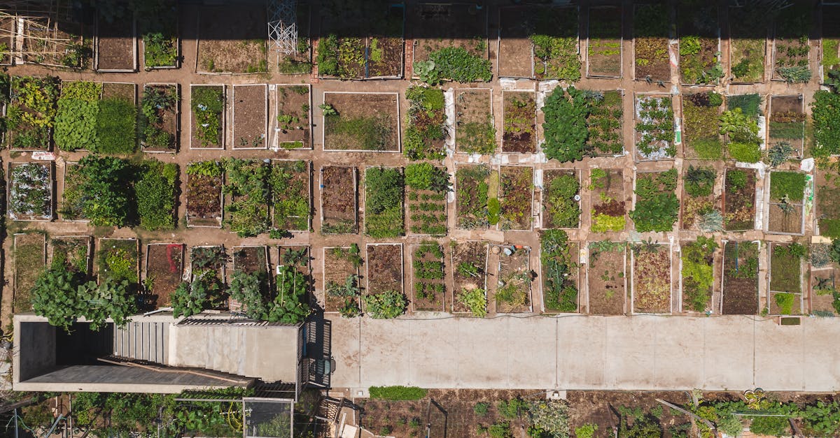 Jucătorii din agroindustrie, inclusiv Syngenta, KWS și RAGT Semences, oferă fermierilor o gamă largă de instrumente pentru a facilita planificarea și implementarea sistemelor de cultură durabile. Acestea includ: