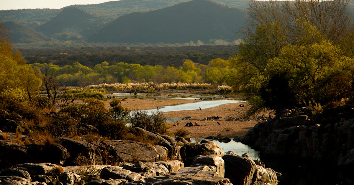 Die Inhalte des BTS Remote Banking: Welche Schulungen bieten sich an, um neue Herausforderungen zu meistern?