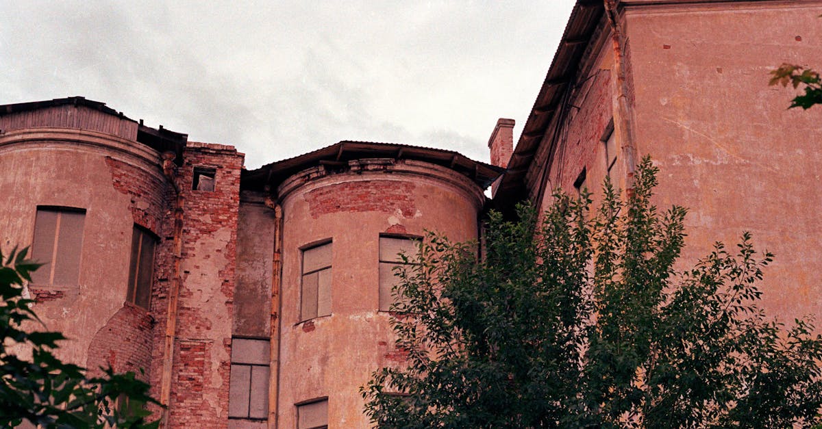 对国际物流，尤其是运输、海关手续和保险方面有深入的了解。如果买家缺乏这些技能，可能会导致延误、意外成本甚至损失。2025年，监管的复杂性和海关监管的加强进一步凸显了严谨组织的重要性。