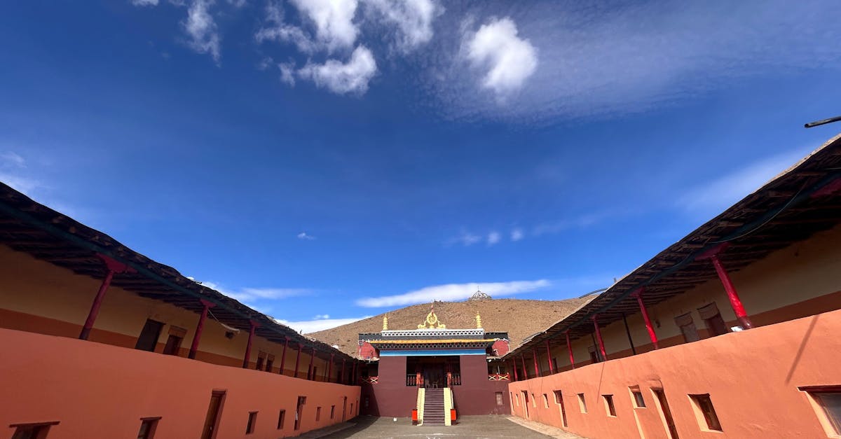 💻 使用数字工具实时监控物流