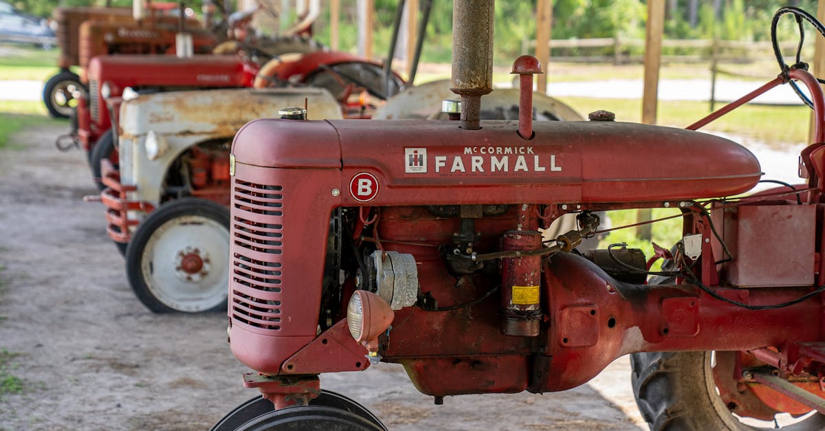 Instrumentele esențiale pentru construirea unei imagini de brand eficiente pentru o fermă