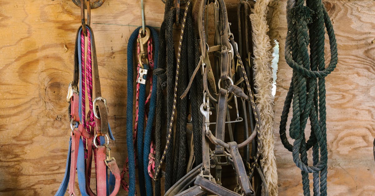 Montar uma oficina de beneficiamento na fazenda: as chaves