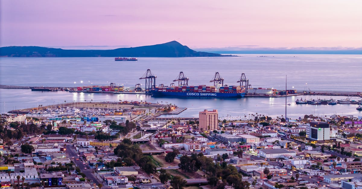 探索引人入胜的进出口世界：成功进行国际交易的策略、机遇和建议。优化您的供应链，抓住全球市场上的最佳交易。进出口助理在哪里工作？这些环境需要哪些技能？