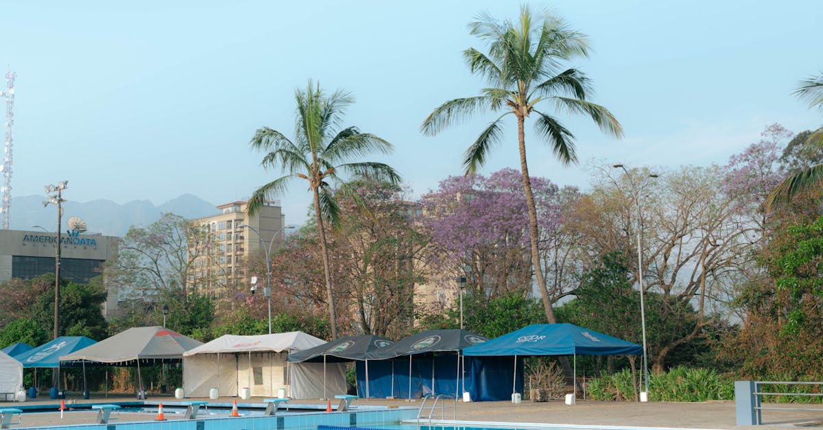 探索欧盟内部增值税（欧盟内部商业交易的重要机制）的所有相关信息。了解其运作方式、优势以及适用增值税的纳税义务。