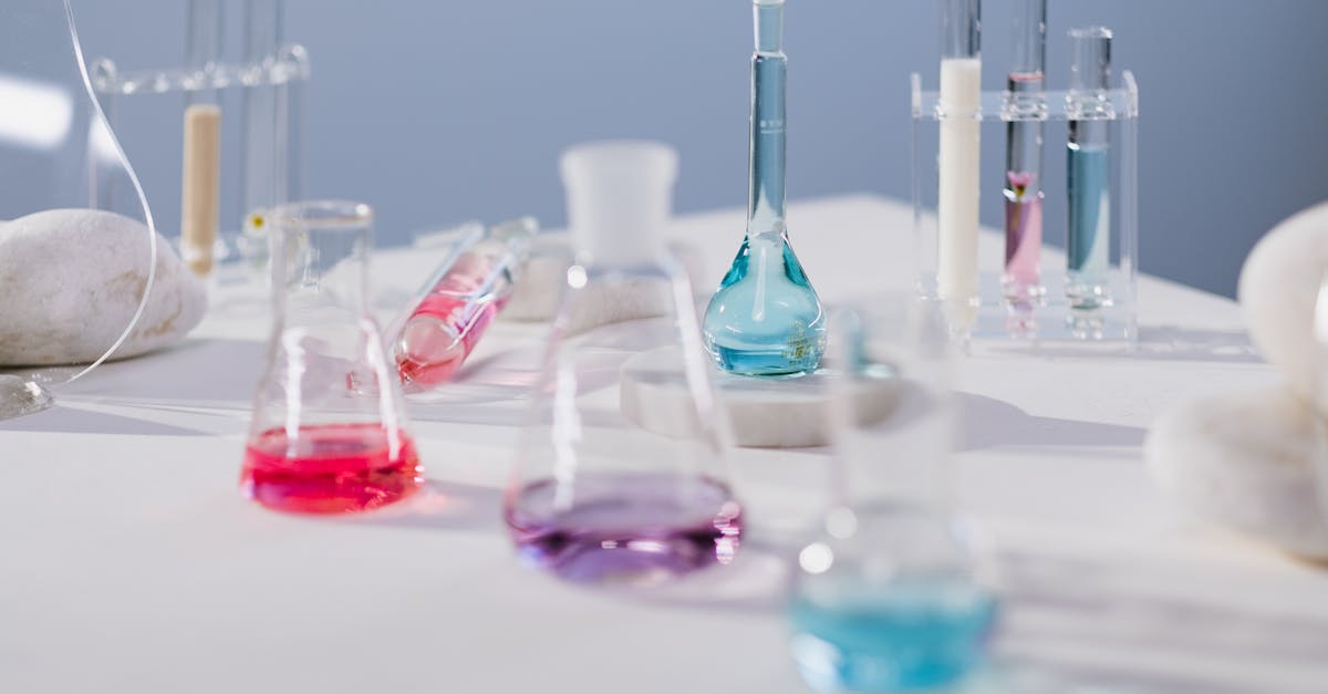 Elementet kryesore për t'u përfshirë në një fletë faktesh të biologjisë molekulare