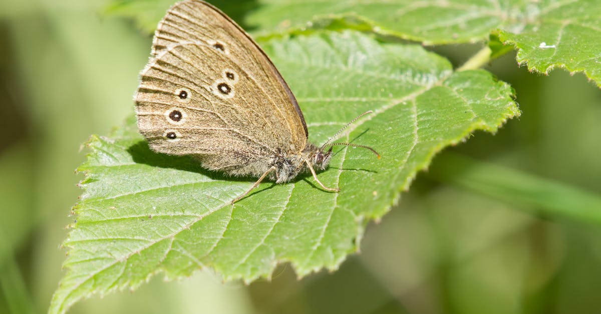 Luz natural versus luz artificial: ¿cómo elegir?