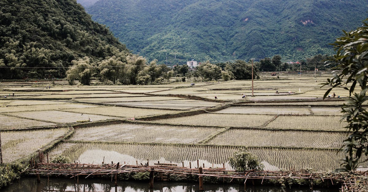 Часто задаваемые вопросы (FAQ): всё, что вам нужно знать об органическом и традиционном сельском хозяйстве в 2025 году