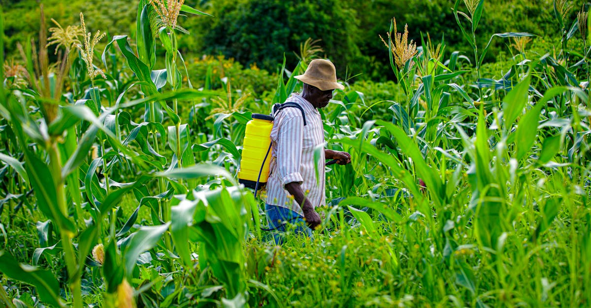探索化学农药的有效替代品，保护您的作物和花园。选择天然且可持续的解决方案，在保护环境的同时确保健康的收成。