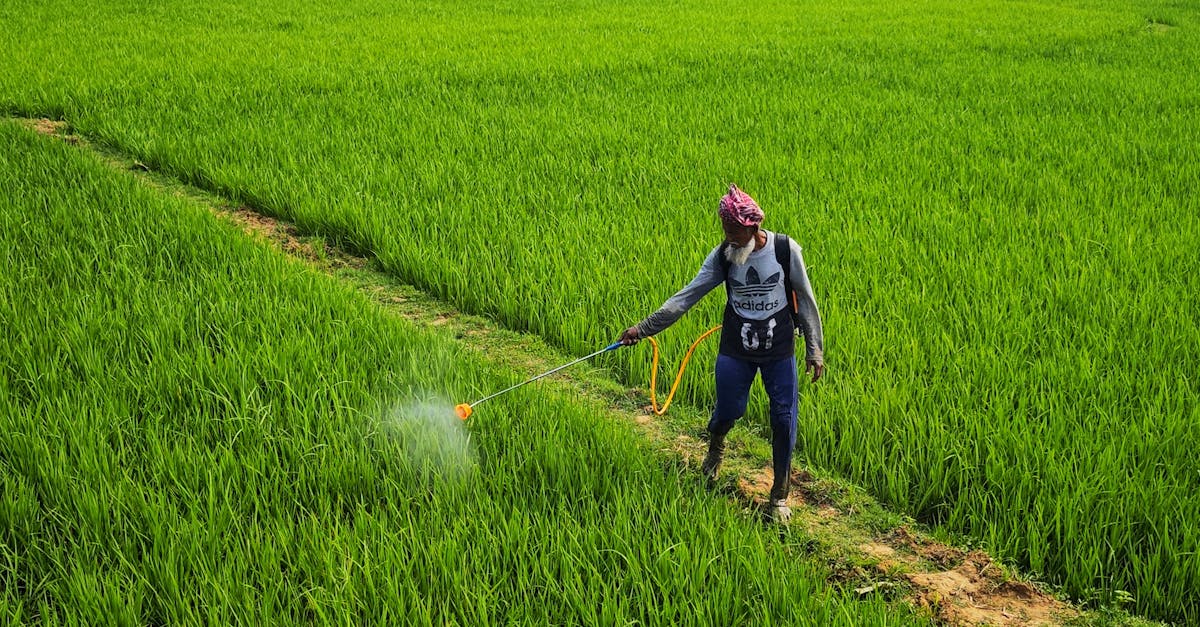 探索有效的农药替代品，以环保的方式保护您的作物和花园。探索自然且可持续的解决方案，在减少化学品使用的同时，维护生态系统的健康。