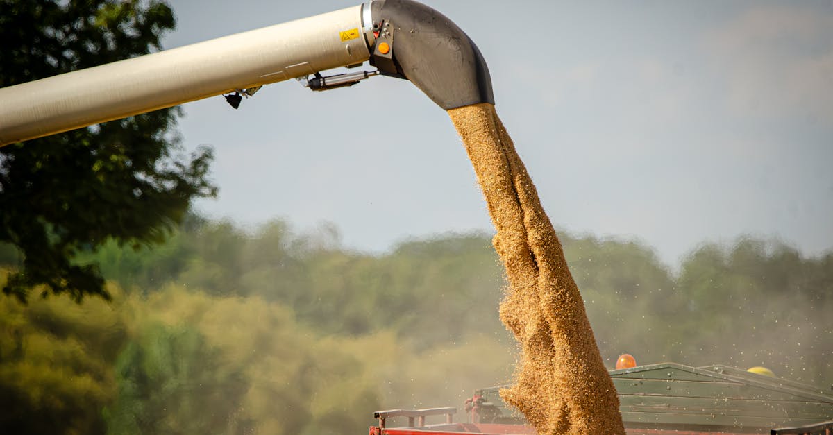 Точное земледелие: GPS, датчики, дроны