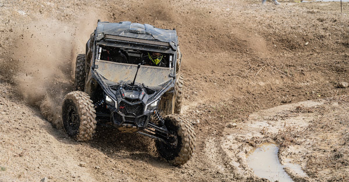 Focus pe răspunderea civilă profesională în agricultură