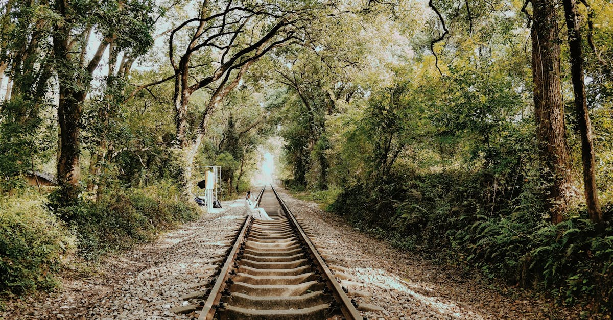 Compreendendo o status do arrendamento e dos arrendamentos rurais