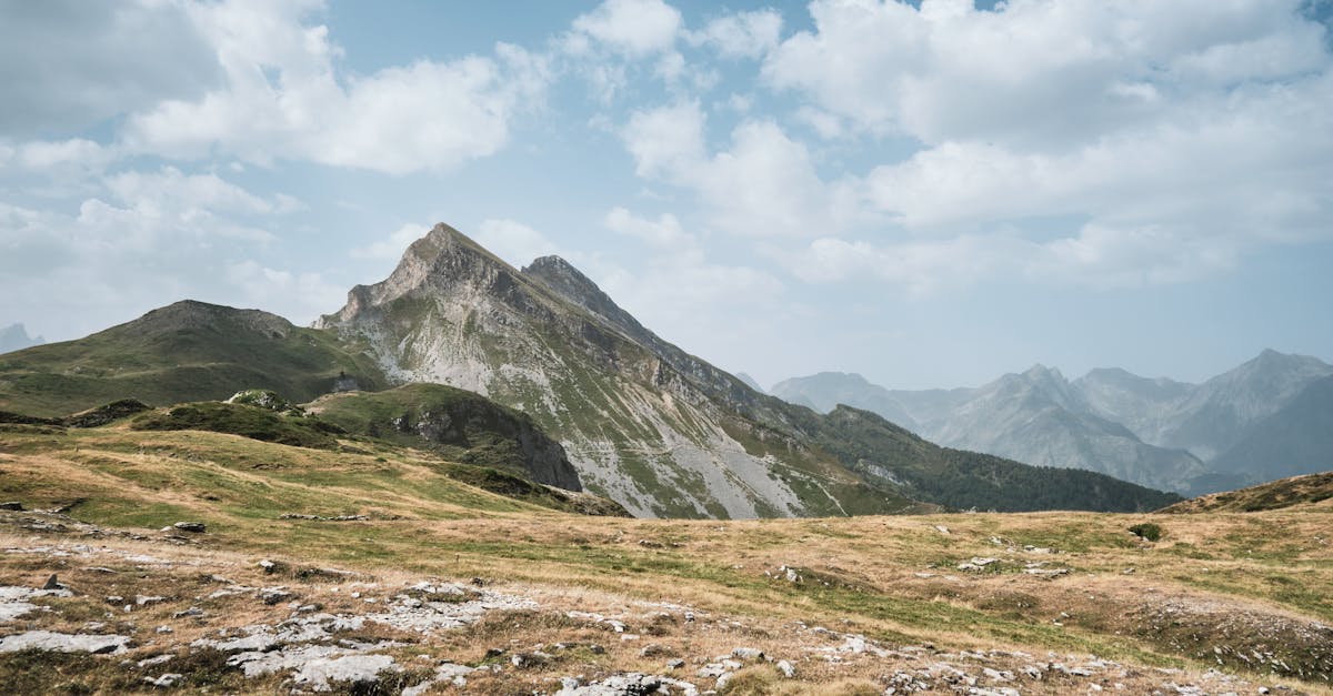在农村地区进行市场调研