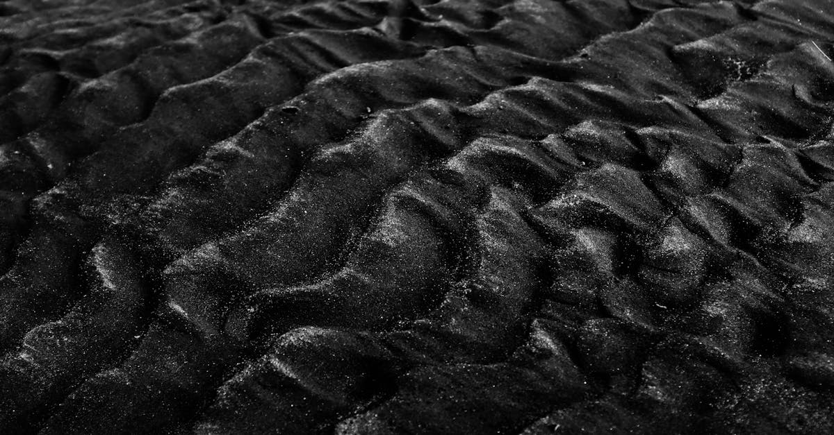 微生物分析，例如BioSols或TerraExpert提供的分析，正在彻底改变我们评估土壤健康的方式。通过整合微生物生命，这些工具能够进行动态读取，预测潜在的失衡情况。