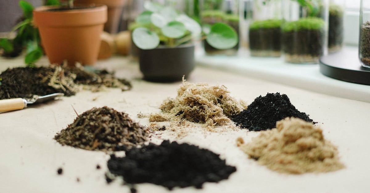 Понимание почв: pH, текстура, структура