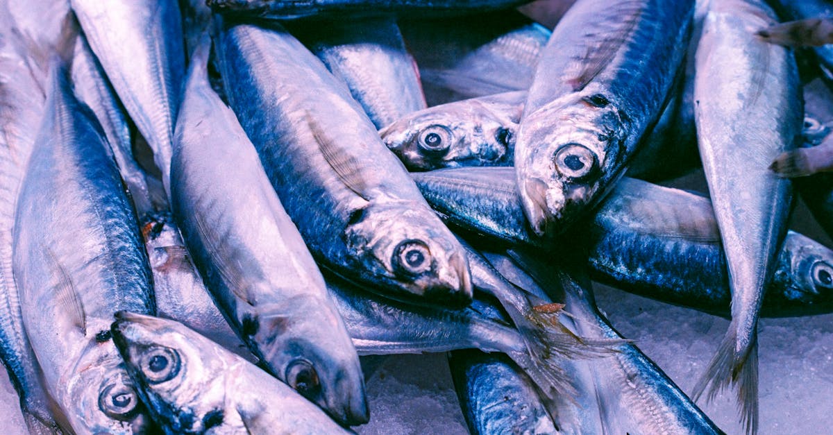 我们知道，顺畅的供应链依赖于从初始订单到最终交付的流畅步骤。但这究竟是如何运作的呢？这些关键阶段是什么？每个参与者如何为其成功做出贡献？