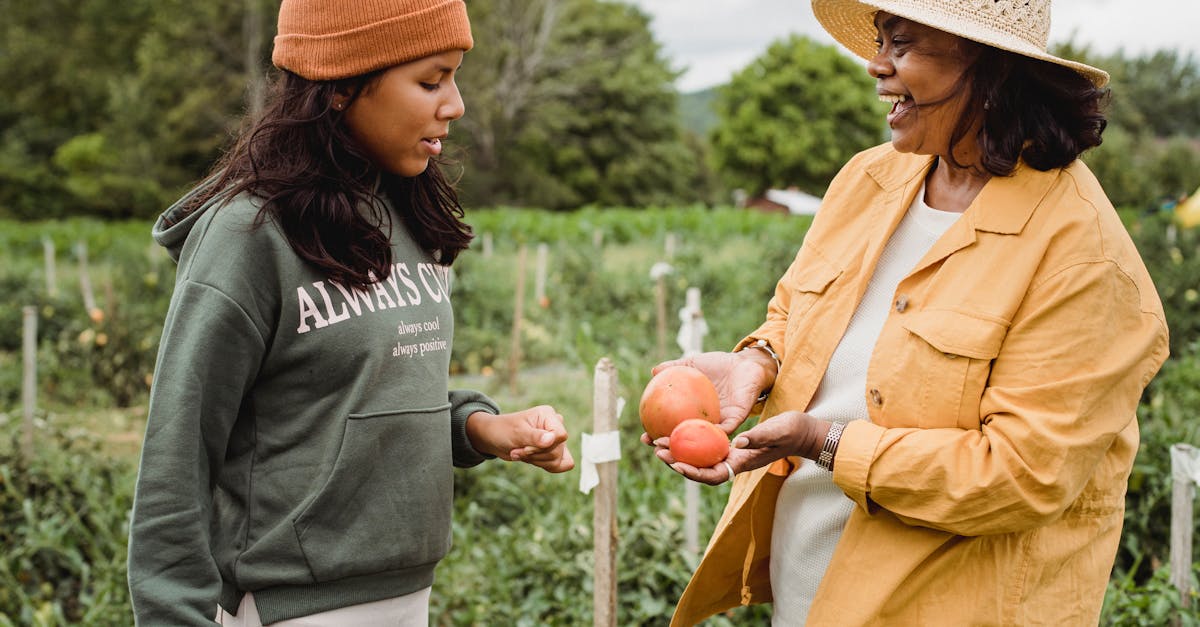 Эти дополнительные инструменты облегчают принятие решений и обеспечивают большую адаптируемость к будущим вызовам. Не забывайте о необходимости интеграции современных методов управления, таких как упрощенный бухгалтерский учет, управление ролями в кооперативе и использование новых сельскохозяйственных технологий. Обучение остается мощным рычагом для решения сложных задач и укрепления вашей способности использовать открывающиеся возможности. Кроме того, не забывайте регулярно обращаться к программам повышения квалификации для развития своей карьеры.