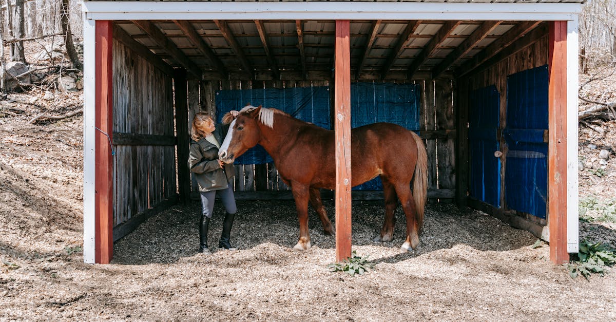 Почему стоит выбрать BTS ACSE для обучения в сфере сельского хозяйства?