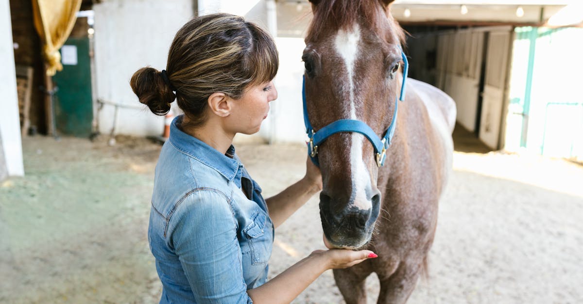 Ключевые навыки, разработанные BTS ACSE для обучения сельскому хозяйству