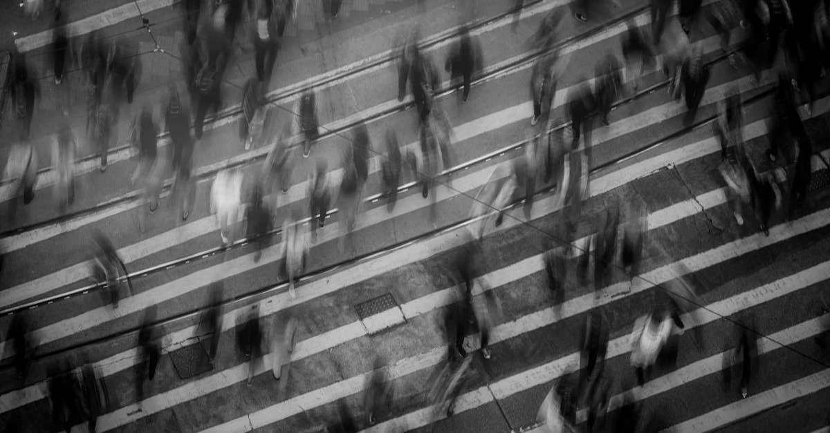 探索国际实习机会，助您提升技能、探索新文化并提升简历。加入全球人脉，通过独特的海外体验为您的职业未来做好准备。在生物技术BTS项目完成伊拉斯谟实习的关键步骤